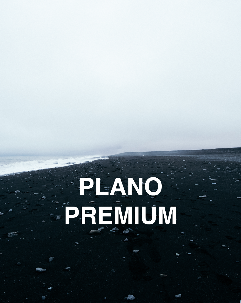 PLANO PREMIUM -  E`C. & Athletic Studios