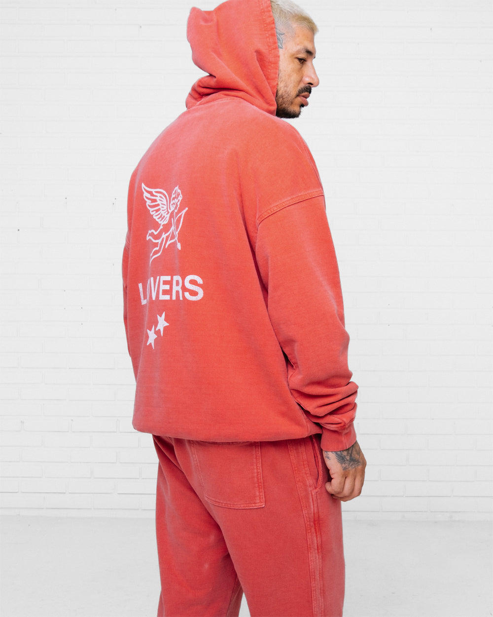 Standard Hoodie Washed Red